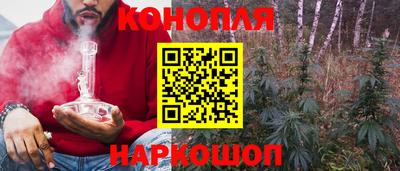 мяу мяу мука Кунгур