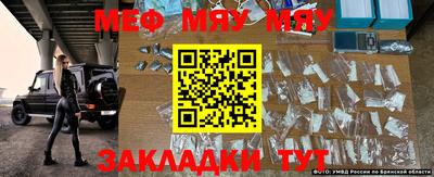 мяу мяу мука Кунгур
